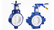 Ball, Gate, Check, Globe, Butterfly Valves Manufacturer Supplier in India