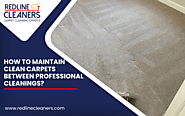 5 Ways To Maintain Clean Carpets Between Professional Cleanings