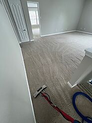 Reliable Carpet Cleaning in Charlotte NC