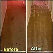 Top-Quality Carpet Cleaning 24/7 in Charlotte NC – @redlinecleaners on Tumblr