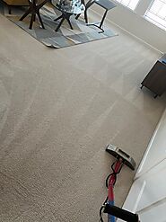 Eco-Friendly Carpet Cleaning in Charlotte, NC