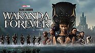 Wakanda Forever: The Legacy and Future of Black Panther | by Movie Updates | Movie Updates | May, 2024 | Medium