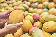 Tips for selecting Mangoes