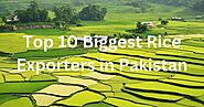 Top 10 Biggest Rice Exporter In Pakistan! | by Waqar Rice Mills | Jul, 2024 | Medium