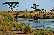 Serengeti National Park, Tanzania: A Safari Wonderland