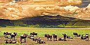 Ngorongoro Crater, Tanzania: A Natural Wonder