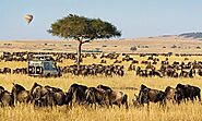 Masai Mara National Reserve, Kenya: The Land of the Big Five