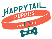 Teacup Bich Poo for Sale | Female Bichpoo Puppies | Happytail