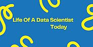 What is the Work of Data Scientist -