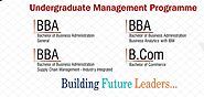 Discovering the Top BBA Colleges in Delhi NCR