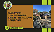 Get Our Efficient Tree Removal Services Today!