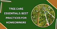 Tree Care Essentials: Best Practices for Homeowners