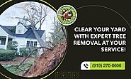 Remove Unwanted Trees by Booking Our Expert Removal!