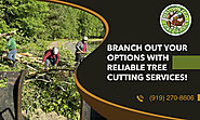 Safe and Efficient Tree Cutting Services!