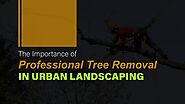 The Importance of Professional Tree Removal in Urban Landscaping