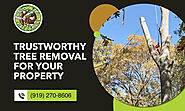 Safe and Efficient Tree Removal Services