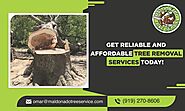 Boost Curb Appeal with Our Precision Tree Removal Solutions!