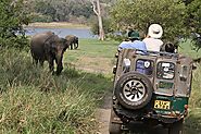 Minneriya National Park