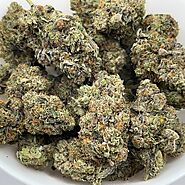 Save Big on Premium Cannabis – Discover Togo Weed’s Budget Buds