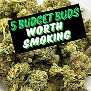 Buy 5 Budget Buds Worth Smoking - Togo Weed - Online Dispensary