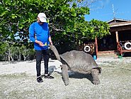 Visiting the Aldabra atoll