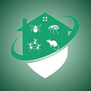 Pest Controller Bristol | Bristol