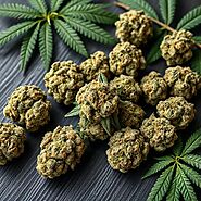 How to Identify High-Quality Indica Bud: Tips from the Pros – Togo Weed