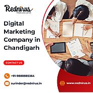 Website at https://www.rednirus.in/digital-marketing-company