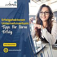 Erfolgsfaktoren Unternehmertum: Tipps für Ihren Erfolg