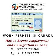 How to Secure Employment and Immigration in 2024