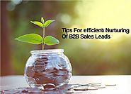 3 Tips For efficient Nurturing Of B2B Sales Leads