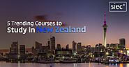 5 Trending Courses to Study in New Zealand