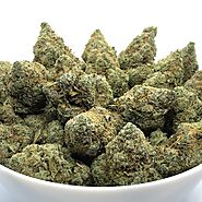 $100 oz & Under | Buy Budget Buds Online| Togo Weed