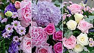 A Guide to Beautiful Summer Flowers: Names and Gift Ideas