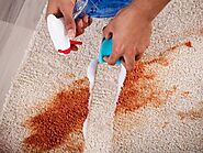 Top Carpet Cleaning in McKinney