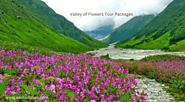 Valley of Flowers Tour Package: Explore Nature's Marvels from Delhi, Mumbai, and Rishikesh