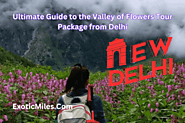 Ultimate Guide to the Valley of Flowers tour Package from Delhi