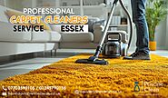 The Ultimate Reasons to Choose Professional Carpet Cleaner Service