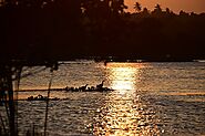 Kalametiya Bird Sanctuary