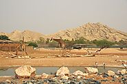 Al Ain Zoo