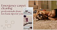 Emergency carpet cleaning professionals share few basic tips for you! | GuestPostCrunch