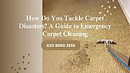 How Do You Tackle Carpet Disasters? A Guide to Emergency Carpet Cleaning