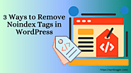 3 Ways To Remove Noindex Tags In WordPress - WPrBlogger