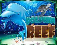 Dolphin Reef