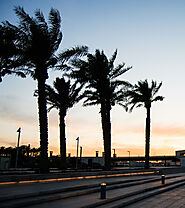 Sunset with DatePalms