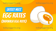 today egg rates