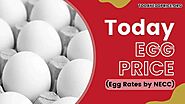 Today egg price wallpaper you can use it in your phone