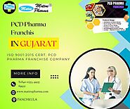 Lucrative PCD Pharma Franchise Opportunities in Gujarat | Matins Pharma