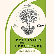 Precision Arborcare llc | Asheville NC
