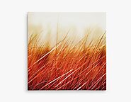 1/4" Canvas Thin Wraps | Wrapped Canvas Prints